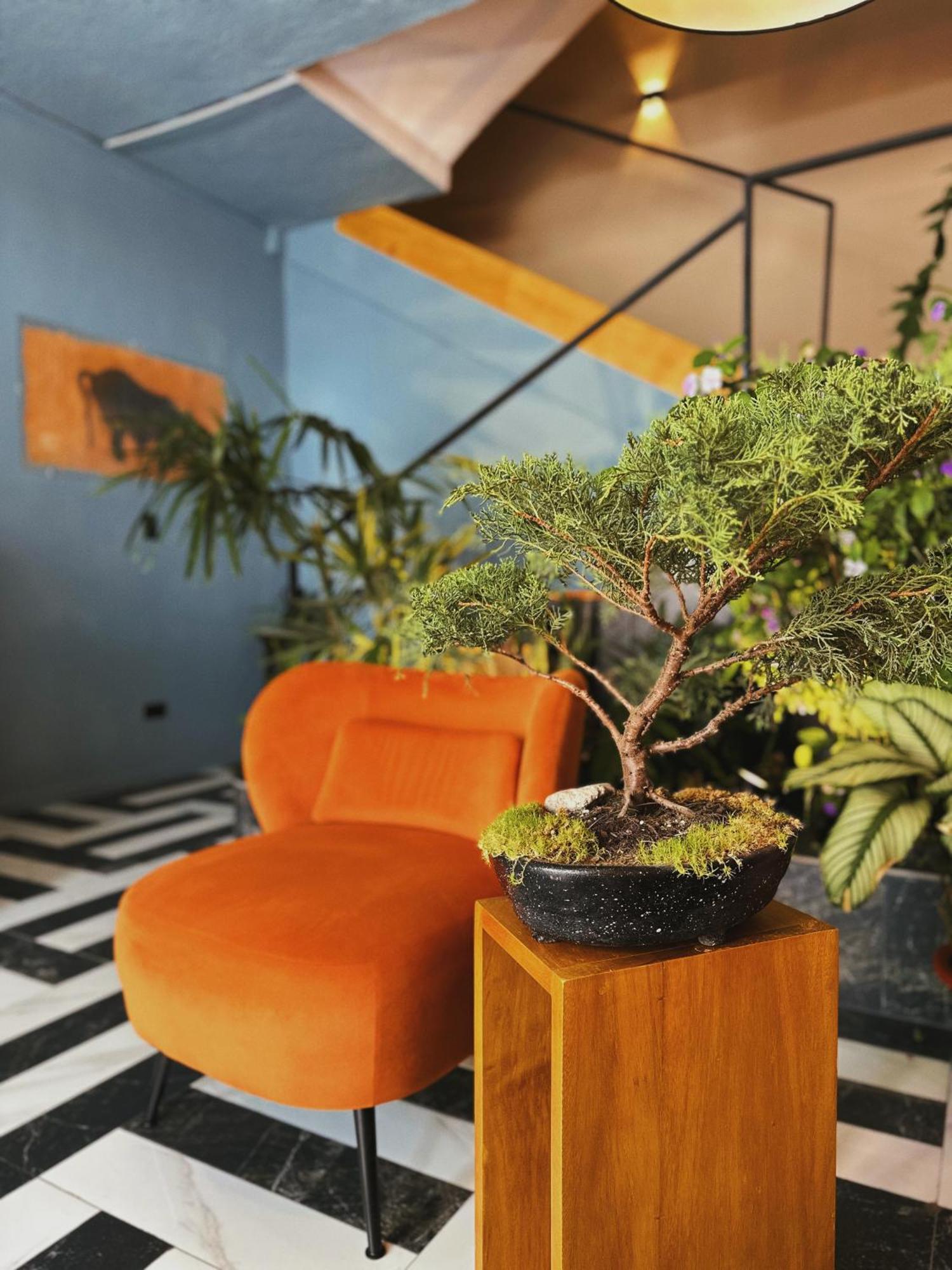 Hotel Agave Banos Exteriör bild